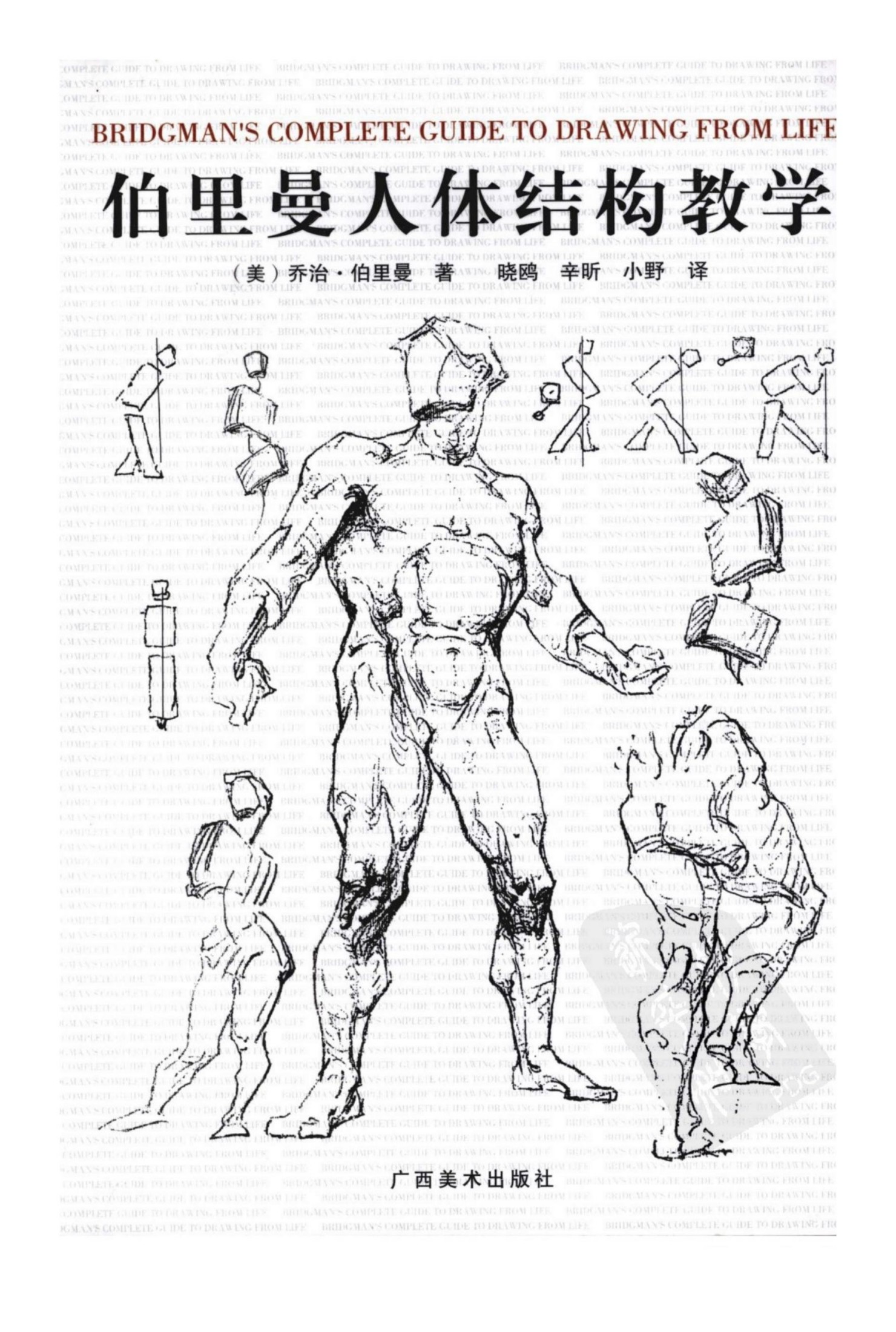 伯里曼人体结构绘画教学